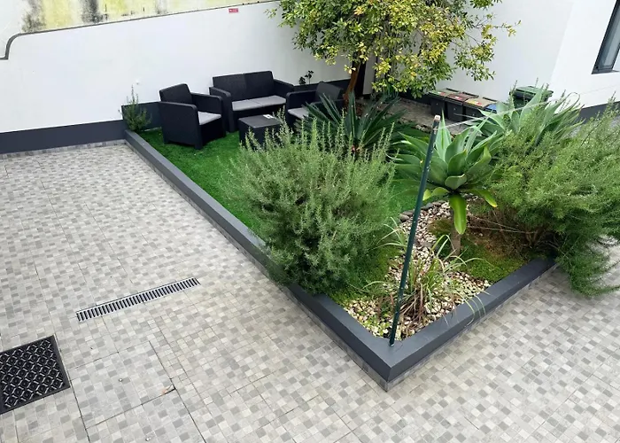 Casa Trevo De 4 Folhas *