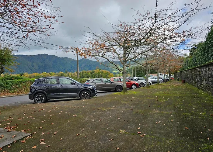 Casa Trevo De 4 Folhas