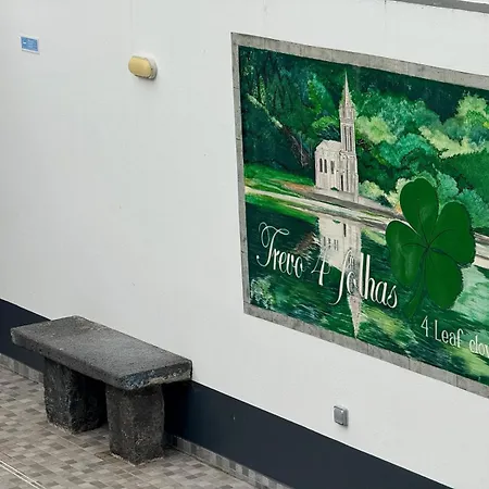 Casa Trevo De 4 Folhas