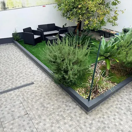 Casa Trevo De 4 Folhas *