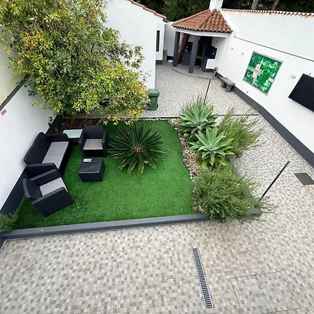Casa Trevo De 4 Folhas