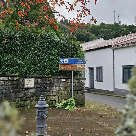 Casa Trevo De 4 Folhas *